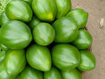 papay Organic Yes Origin National Packaging Size Up to 2 kg Delivery Form Baskets, Bucket - ms/ sb traders - Bangladesh