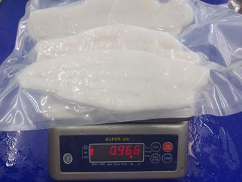 Frozen Pangasius Fillet/ Pangasius Fish Steak Basa Fillet and Swai Fish Fillet - NUTRIDIET LDA - United Kingdom