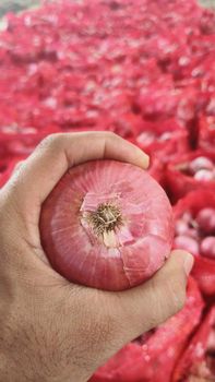 fresh indian onion (nashik) – product photo, Fresh Shallot Onion products found from trusted suppliers, wholesalers, manufacturers & exporters Listing