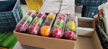 Bell peppers (red, yellow, green) Temperature Cooled Packaging Included Shipment Type Custom - Venus bell peppers  - Iran