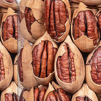 Best Quality Pecan Nuts for Sell High Nutrition Pecan Nuts for Snacks Wholesale Cheap Pecan Nuts - VERTEX TRADING LIMITED - United Kingdom