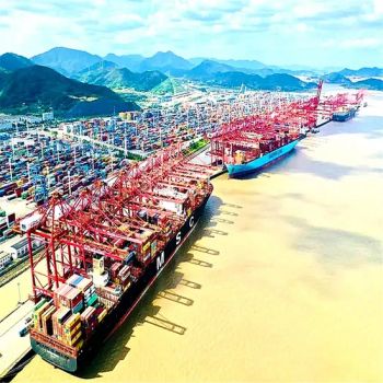 Cheap Sea Freight Callao Shipping Agent From China to Peru - SDI LOGISTICS CO., LIMITED - China