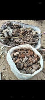 Damar Batu Meranti - PT Vena Loka Cakrawala - Indonesia
