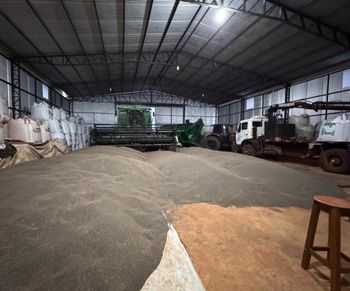 Chia Seed Shipping Terms Fob Packaging 25 Kg Bags Sample Availability Yes, Samples Can Be Sent For Quality Verification Certifications Phytosanitary And Origin Certificates, Organic Certification - chia seeds supplier  - Paraguay