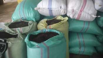 Cloves ab6 Origin Indonesia Features Fair Trade Form Ground, Whole Stalks Packaging Size > 250 g - 500 g - PT Cipta Tunggal Agronusa - Indonesia