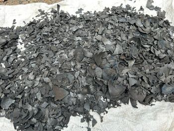 Indonesian Coconut Shell Charcoal – product photo, Top Quality Products