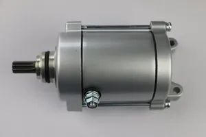 High Quality Motorcycle Part Motorcycle Starter Motor for Milestone - Xingtai Yazheng I&E Trade Co., Ltd. - China
