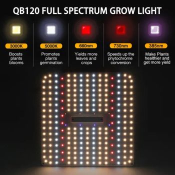 Samsung O-Sram 100W Wattuvb and IR Red Professional Full Spectrum LED Grow Lights with 2-4X4-5FT Dimmable (RoHS) - Shenzhen Ledodm Lighting Co., Ltd - China