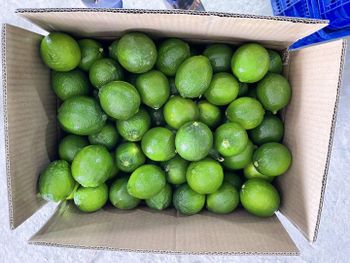 Seedless Lime Origin Vietnam Product Type Fruits & Vegetables - LILA GLOBAL - Vietnam