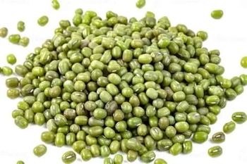 Green Mung Beans from Am star group trading plc Green Mung Beans - Am star group trading plc - Ethiopia