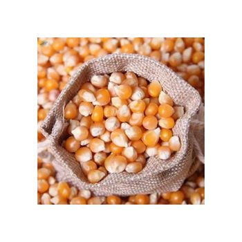 Pure Expanded Non-GMO Non Gmo Yellow Maize Good Quality Non Gmo Yellow Maize for sale - GOLDEN STAR BV - South Africa