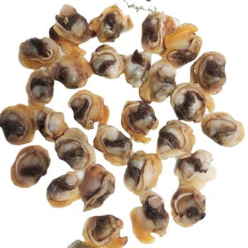 high quality frozen IQF cockle meat Color yellow Style FROZEN Weight (kg) 1 Ingredients NO Brand Name huayi Model Number - Dandong Huayi Foodstuff Co., Ltd. - China