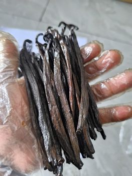 Indonesian Vanilla Beans from TropisVanilla Indonesian Vanilla Beans - TropisVanilla - Indonesia