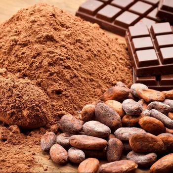 U2U2402 Cocoa Beans High Quality Cacao Beans for Gourmet Use from U2U Systems U2U2402 Cocoa Beans High Quality Cacao Beans for Gourmet Use – product photo, Theobroma Cacao Beans products found from trusted suppliers, wholesalers, manufacturers & exporters Listing