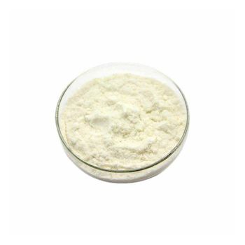 Bulk supply whey protein wholesale low price premium quality bodybuilding protein Whey protein bulk supply - Koto Global Trade SPRL - Belgium