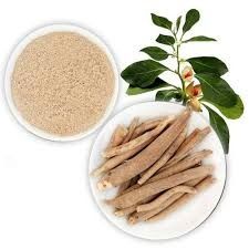 ASHWAGANDHA ROOTS POWDER- Ashwagandha Extract Product Type Fine Foods, Fruits & Vegetables - SHREE SAI BIOTECH - India