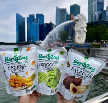 Dried fruit, Banana, Jack Fruits, Mango, pineapple, sweet potato, mushroom, Broccoli - PT Harmony Indo Spices - Indonesia