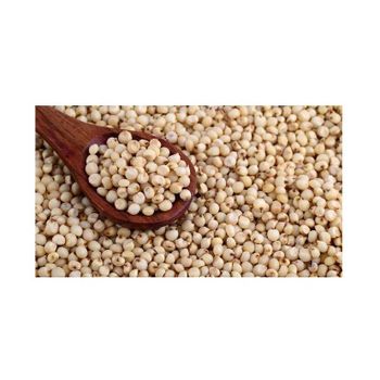High-quality sorghum grains ideal for human consumption and livestock feed - HIGHPROFILE AGRICULTURE SERVICES LIMITED - Tanzania