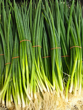Fresh Green Vegetables Premium Fresh Green Onions Scallions 156g Bunch On Sale - Sosa Merchant Solutions - Austria