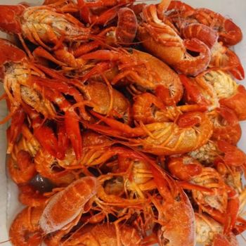 Frozen Crayfish Natural Fresh Catch Premium Seafood Product For Wholesale Buyers Serving Diverse Market Demands - TOSOH INTERNATIONAL - South Africa