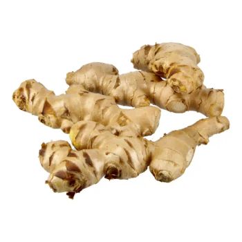 Organic Fresh Ginger Natural Ginger Roots for Households and Commercial Kitchens Affordable Bulk Wholesale Packages from A.C.P. AGRICULTURE COMPANY LIMITED Organic Fresh Ginger Natural Ginger Roots for Households and Commercial Kitchens Affordable Bulk Wholesale Packages - A.C.P. AGRICULTURE COMPANY LIMITED - Thailand