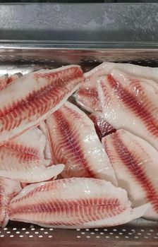 frozen tilapia fillet - PT. BERAE SEGARA NUSANTARA - Indonesia