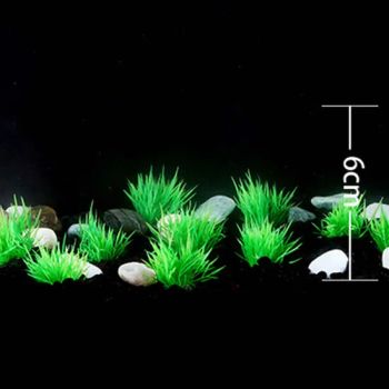 Aquarium Landscape Foreground Grass Seaweed Green Plants for Marine Freshwater Fish Tank Decoration - Xiamen Furvorite Pet Supplies Co., Ltd. - China