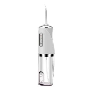 Waterpulse Home Use Water Flosser Oral Cleaner Irrigator Dental Water Jet for Teeth Cleaning - Changsha Fusheng Electronic Technology Co., Ltd. - China