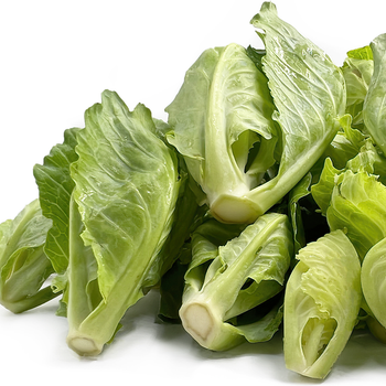 Baby cabbage - THAI MART INTERTRADE - Thailand