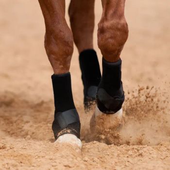 Adjustable Horse Boots Equine Leg Guard Tendon Boots Neoprene Horse Leg Protector Equestrian Equipment Horse Riding Boots - Quanzhou Huangbo Import and Export Co., Ltd - China