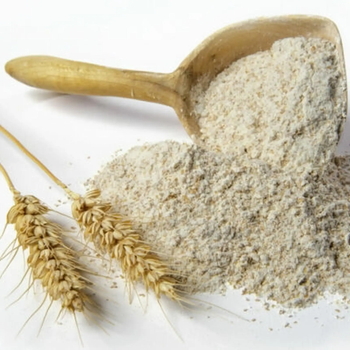 High Quality 50kg Organic Wheat Gluten Flour 82% Feed Grade Food Grade Bulk Bag Stone Ground No Additives - FK GLOBAL TRADING - Netherlands