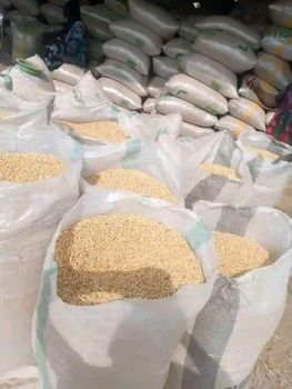 soybean seeds - jtenkgroup - Tanzania