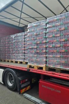 Coca-Cola & Fanta Soft Drinks Wholesale Supplier & Exporter – Original Branded Carbonated Beverages in Bulk for B2B Impo - pptradinggmbh - Germany