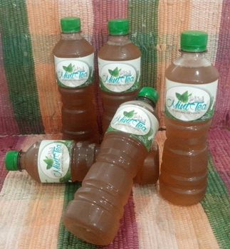 Mint tea - BF GLOBAL TRADING (PTY) LTD - South Africa