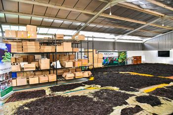 Vanilla Beans – product photo, Tahitian Vanilla Beans products found from trusted suppliers, wholesalers, manufacturers & exporters Listing