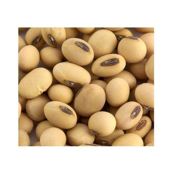 Non Gmo Soybeans / Soya Beans, Soy bean Seeds and Soya bean Seeds - Exigentelaxia Unipessoal Lda - Portugal