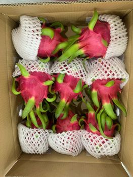 Dragon fruit