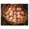 Product from FERMA DROBIU GRZEGORZ NOWOSAD Product – product photo, Frozen Chicken Eggs products found from trusted suppliers, wholesalers, manufacturers & exporters Listing