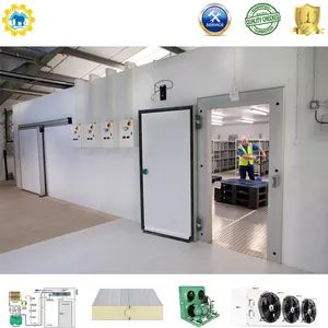 Customizable Freezer Cold Room with 75mm Panel Thickness and Storage - ChangZhou Mammoth International Trading Co., Ltd. - China