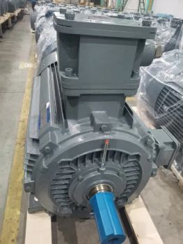 Explosion-Proof Other Gases or Coal Dust Cast Iron 250 Kw Motor Ie3 - Anhui Wannan Electric Machine Co., Ltd. - China