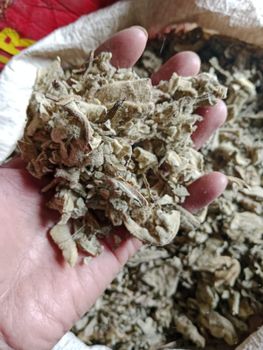 Dried Mullein Leaf Grade FOOD Color GREEN Packaging HDPE BAGS Max. Moisture (%) 8% Shelf Life 24 MONTHS Place of Origin INDIA - ADEPT IMPEX PVT LTD - India