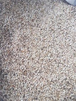 Natural Sesame Seeds – product photo, Mixed Sesame Seeds products found from trusted suppliers, wholesalers, manufacturers & exporters Listing