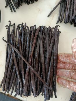 Vanilla Beans Grade A Premium | Authentic Indonesian Vanilla Beans from INDOMIKO BERKAH NUSANTARA Vanilla Beans Grade A Premium | Authentic Indonesian Vanilla Beans – product photo, Dried Vanilla Beans products found from trusted suppliers, wholesalers, manufacturers & exporters Listing