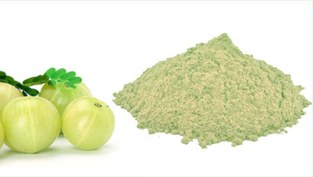 Amla Extract (Emblica officinalis) Shape Light Brown to Yellowish Powder Grade Tannins & Polyphenols, Vitamin C (ascorbic - Fiedel Trading & Exim Pvt. Ltd. - India