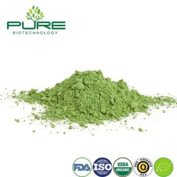 Chinese Fine-Textured Sugar-Free Wholesale Green Tea Matcha Superfood Powder for Energy Bars - Ningxia Pure Goji Biology Technology Co., Ltd. - China