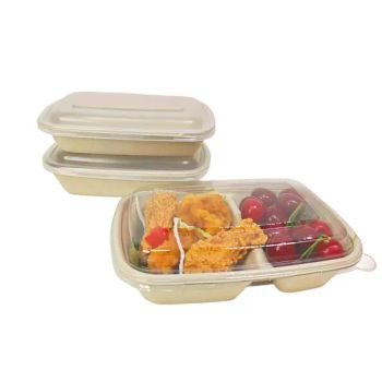 Disposable Lunch Box Bagasse Food Packaging Container Sugarcane Salad Bowl with Lid - Anhui Nature Imp. & Exp. Co., Ltd. - China