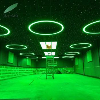 Outdoor LED Strips Aluminum Profile Circular Pendant Light LED Neon Ring Lights - Shenzhen Ledcolourlight Technology Co., Ltd. - China