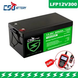 Csbattery LFP12-300 12V12.8V 300ah Lithium Battery Emergency Lights/Alex - CSBattery Energy Co., Limited - China