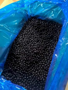 frozen bluebeery Origin Asia, China - Qingdao De Shunfa foodstuff Co.,Ltd. - China