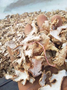 Dried Ginger Slices - ChapBuy - Tanzania